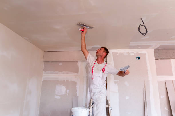 Best Ceiling Drywall Installation  in Crystal Lakes, OH